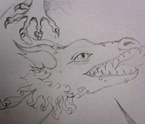 Pencil sketch of the dragon's head